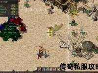 《全面掌握传奇私服GM命令高效实用技巧终极指南》