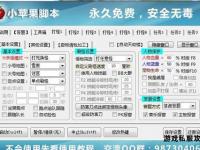 天龙私服免费脚本畅玩无忧 一键