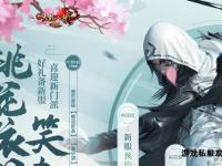 天龙私服开服全流程一站式服务指南与实战技巧解析