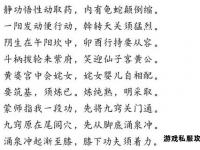 传世私服内丹修炼秘典与进阶攻略