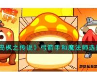 冒险岛私服投诉指南有效举报方法