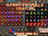 传奇私服挂机网：畅享无忧自动打宝