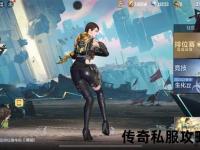 暗夜降临·刺客版本传奇私服全新
