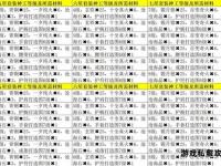 天龙私服品牌深度解析与权威推荐