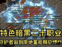 暗黑私服传奇 重燃经典战火征途