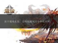 魔域201十星私服外挂全新发布稳