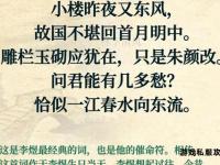 娟影摇曳私语轻诉 暗香浮动岁月